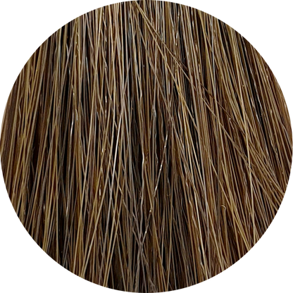 Color Touch CT (Plus) 66/03-Dark Blonde Int. Natural Gold - WAHairSuppliers