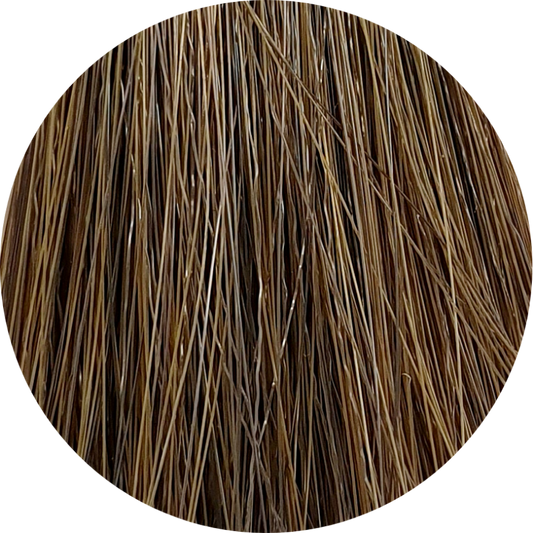 Color Touch CT (Plus) 66/03-Dark Blonde Int. Natural Gold - WAHairSuppliers