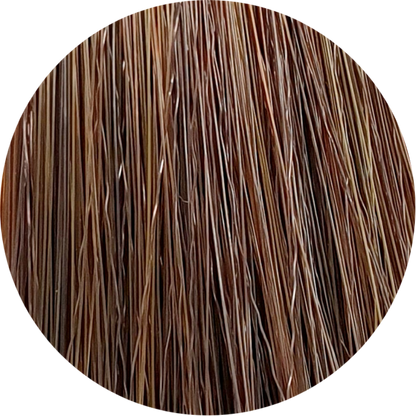 Color Touch CT (Plus) 66/04-Dark Blonde Int. Natural Red - WAHairSuppliers