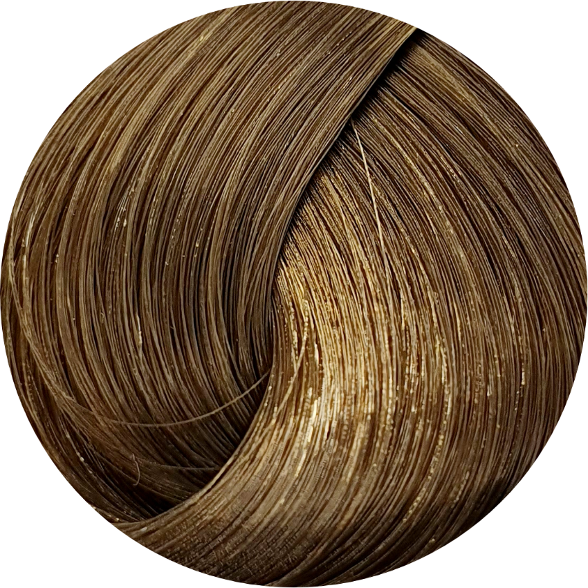 Schwarzkopf Igora Royal Absolutes 7-50 Med Blonde Gold Nat 60ml - WAHairSuppliers