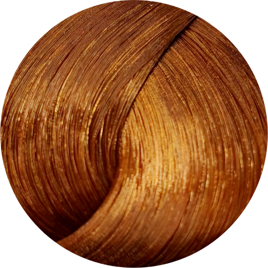 Schwarzkopf Igora Royal Absolutes 7-70 Med Blonde Copper Nat 60ml - WAHairSuppliers