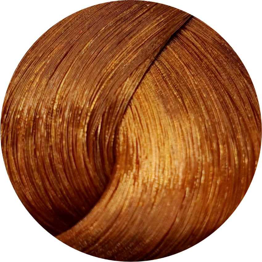 Schwarzkopf Igora Royal Absolutes 7-70 Med Blonde Copper Nat 60ml - WAHairSuppliers