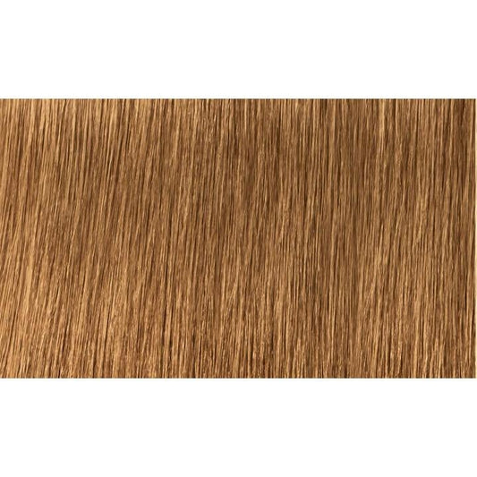 Indola Colour 7.3-Medium Blonde Gold - WAHairSuppliers