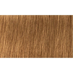 Indola Colour 7.3-Medium Blonde Gold