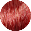 Emsibeth Cromakey Time Colour 7.66-Medium Intense Red Blonde - WAHairSuppliers