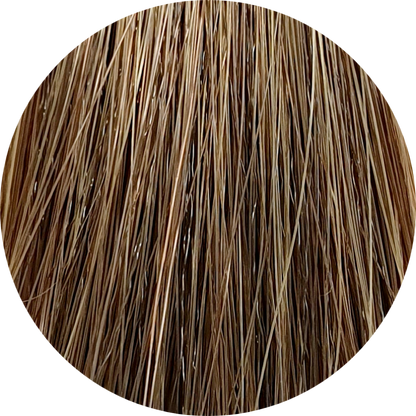 Color Touch CT (Plus) 77/03-Medium Gold Intense Blonde - WAHairSuppliers