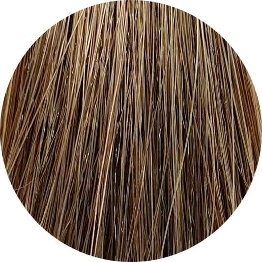 Color Touch CT (Plus) 77/03-Medium Gold Intense Blonde - WAHairSuppliers
