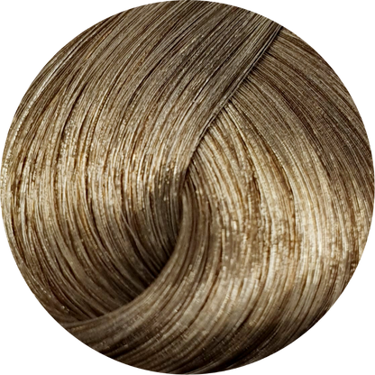 Schwarzkopf Igora Royal Absolutes 8-01 Light Blonde Nat Cendre 60ml - WAHairSuppliers