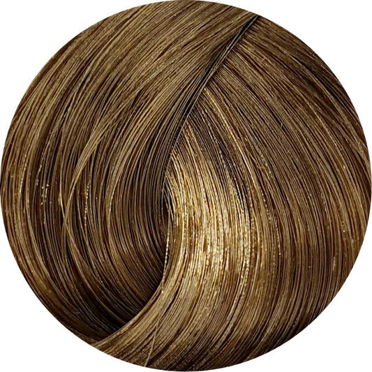 Schwarzkopf Igora Royal Absolutes 8-50 Light Blonde Gold Nat 60ml - WAHairSuppliers