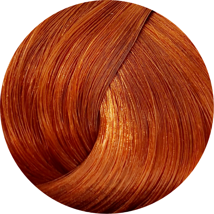 Schwarzkopf Igora Royal 8-77 Light Blonde Copper Extra 60ml - WAHairSuppliers