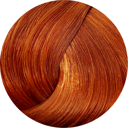 Schwarzkopf Igora Royal 8-77 Light Blonde Copper Extra 60ml - WAHairSuppliers