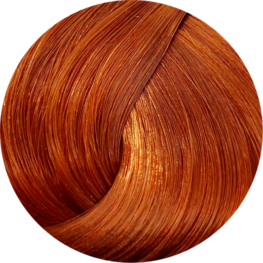 Schwarzkopf Igora Royal 8-77 Light Blonde Copper Extra 60ml - WAHairSuppliers