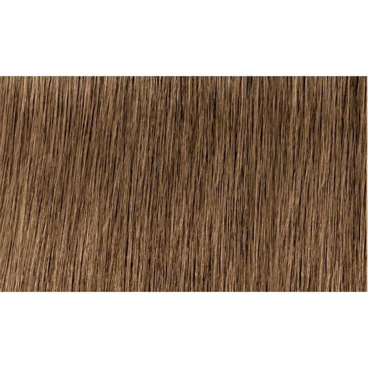 Indola Colour 8.00-Light Blonde Intense Natural - WAHairSuppliers
