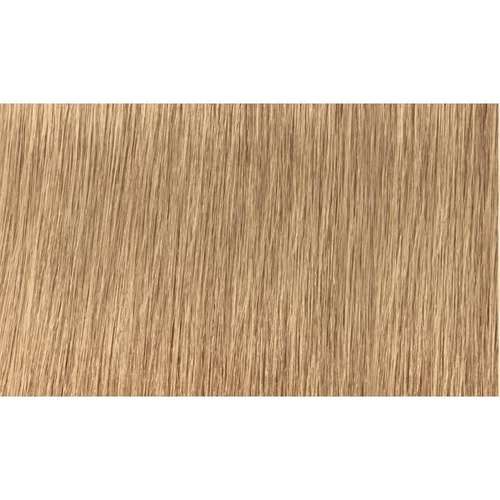 Indola Colour 8.03-Light Blonde Natural Gold - WAHairSuppliers