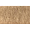 Indola Colour 8.03-Light Blonde Natural Gold - WAHairSuppliers