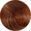 Fanola 8.03-Warm Light Blonde - WAHairSuppliers