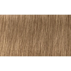Indola Colour 8.0-Light Blonde Natural