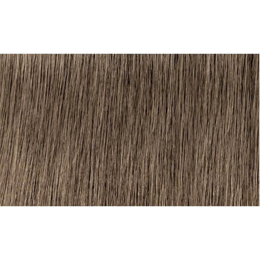 Indola Colour 8.1-Light Blonde Ash - WAHairSuppliers