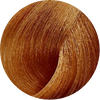 Koza 8.33 Light Golden Intense Blonde 100g - WAHairSuppliers