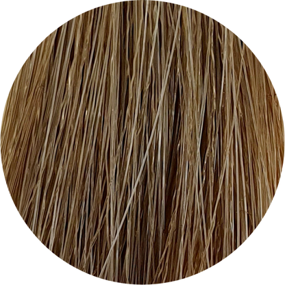 Color Touch CT (Plus) 88/03-Intense Light Natural Gold Blonde - WAHairSuppliers