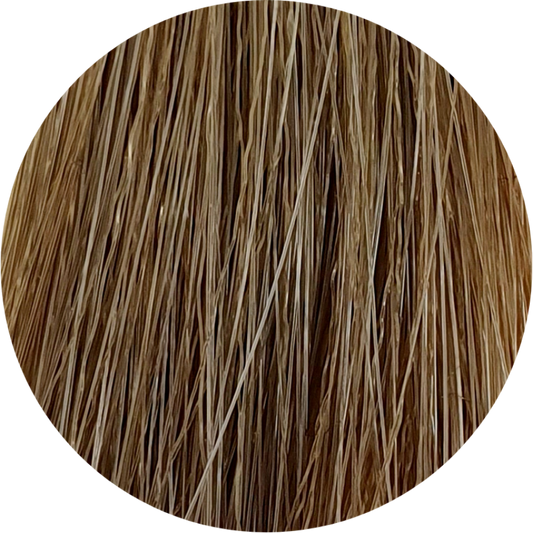 Color Touch CT (Plus) 88/03-Intense Light Natural Gold Blonde - WAHairSuppliers