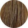 Color Touch CT (Plus) 88/03-Intense Light Natural Gold Blonde - WAHairSuppliers