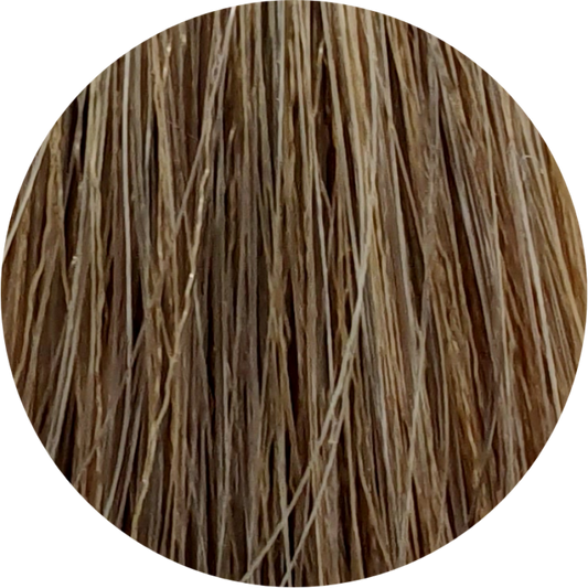 Color Touch CT (Plus) 88/07-Light Blonde Natural Brown - WAHairSuppliers