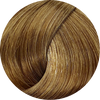 Schwarzkopf Igora Royal Absolutes 9-50 Extra Light Blonde Gold Nat 60ml - WAHairSuppliers