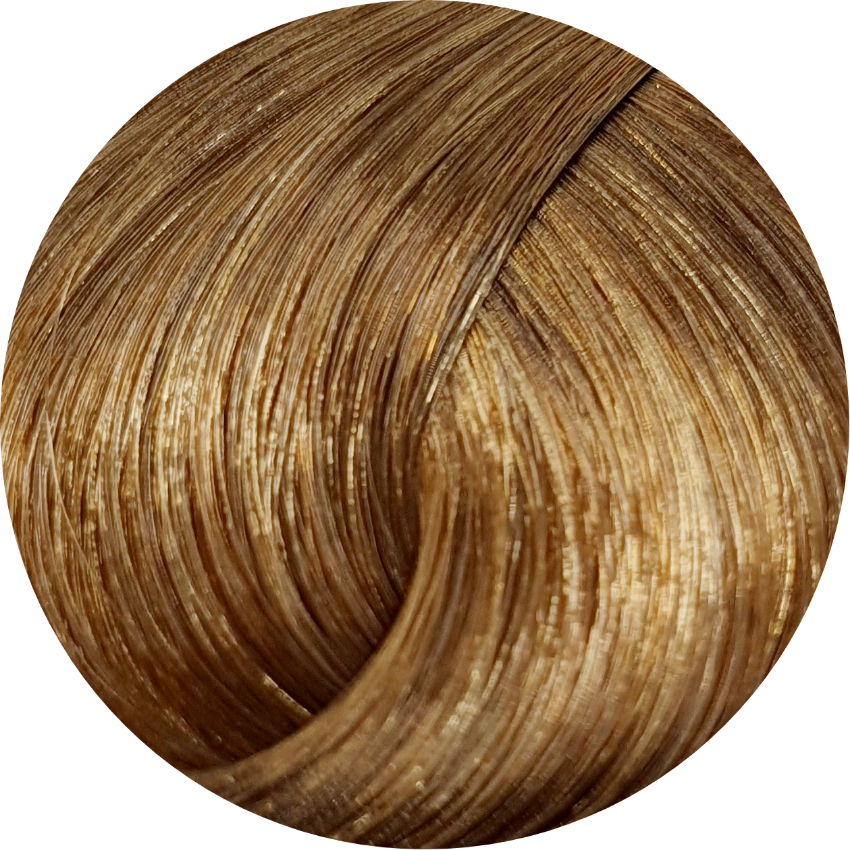 Schwarzkopf Igora Royal Absolutes 9-60 Extra Light Blonde choc Nat 60ml - WAHairSuppliers