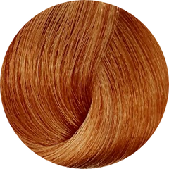 Koza 9.34 Very Light Golden Copper Blonde 100g