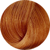 Koza 9.34 Very Light Golden Copper Blonde 100g - WAHairSuppliers