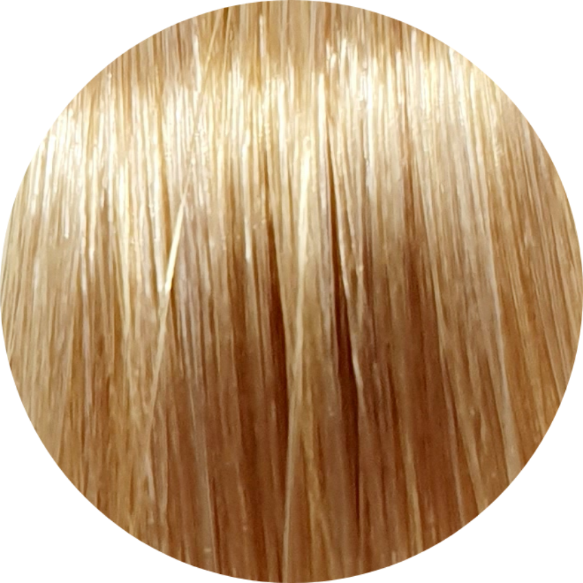 Emsibeth Cromakey Time 9.3-Very Light Golden Blonde - WAHairSuppliers