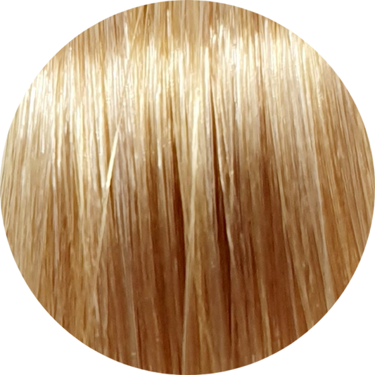 Emsibeth Cromakey Time 9.3-Very Light Golden Blonde - WAHairSuppliers