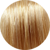 Emsibeth Cromakey Time 9.3-Very Light Golden Blonde - WAHairSuppliers