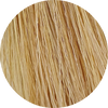 Koleston Perfect KP Deep Browns 10/73 Lightest Blonde Brown Gold - WAHairSuppliers
