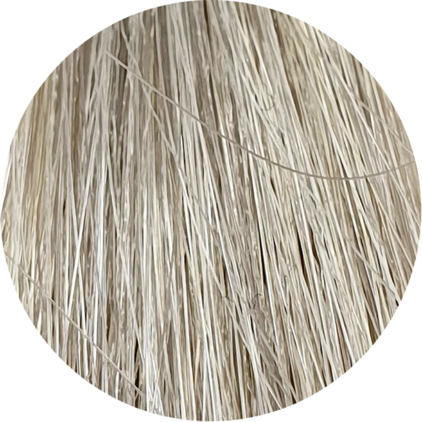 Color Touch CT (Relights)/18-Ash Pearl - WAHairSuppliers