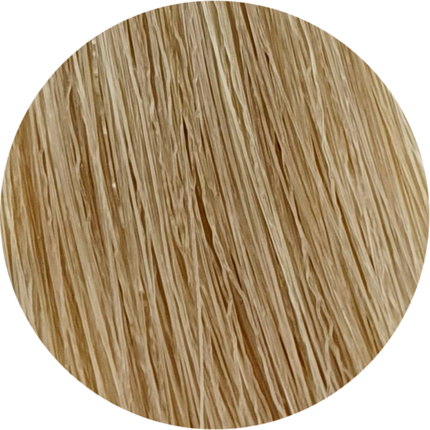 Color Touch CT 10/03-Lightest Blonde Natural Gold - WAHairSuppliers