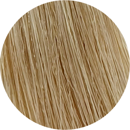 Color Touch CT 10/03-Lightest Blonde Natural Gold - WAHairSuppliers