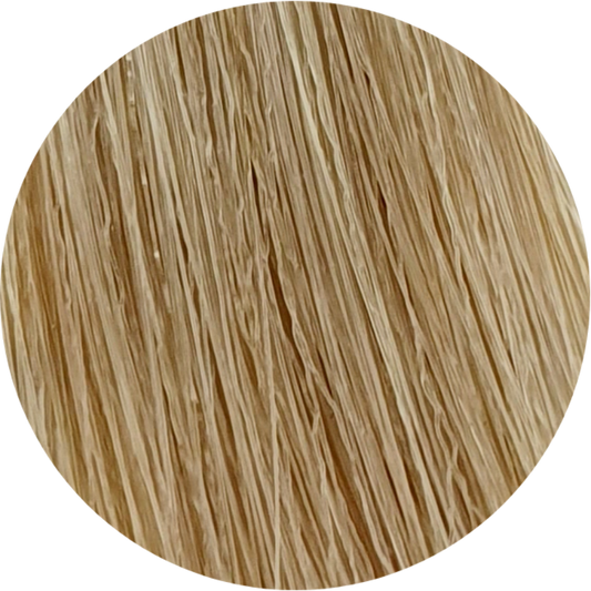 Color Touch CT 10/03-Lightest Blonde Natural Gold - WAHairSuppliers