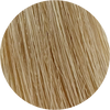 Color Touch CT 10/03-Lightest Blonde Natural Gold - WAHairSuppliers