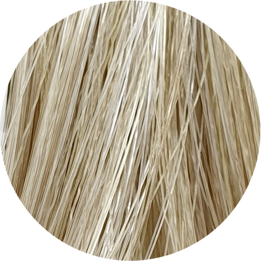 Color Touch CT 10/1-Lightest Blonde Ash - WAHairSuppliers