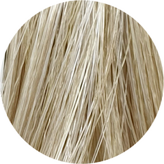 Color Touch CT 10/1-Lightest Blonde Ash