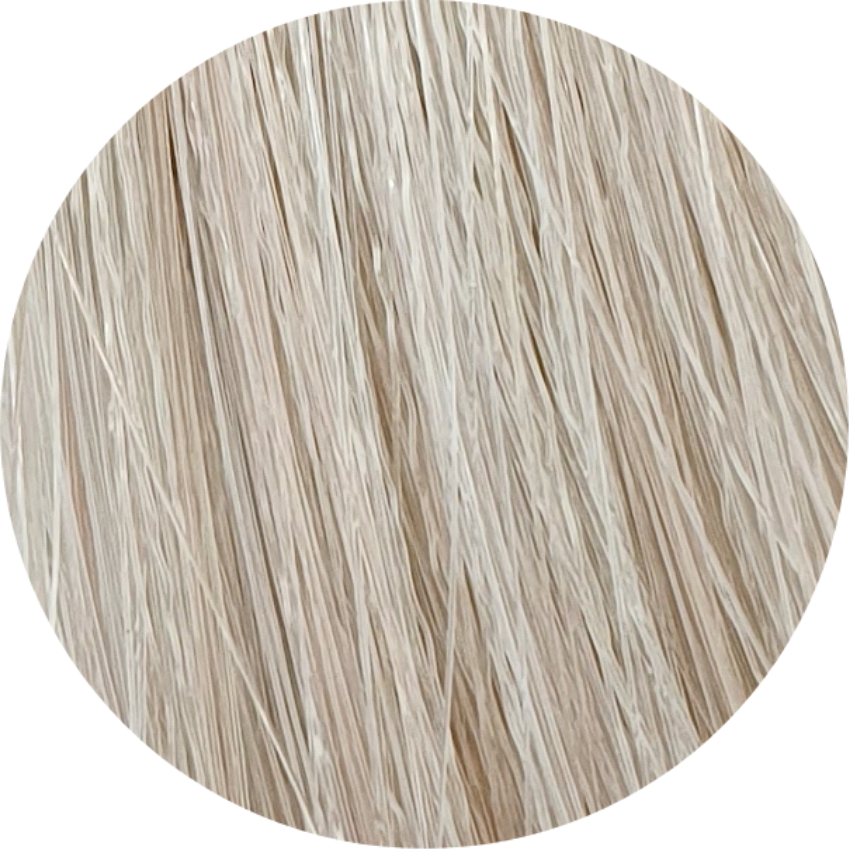 Color Touch CT 10/6-Lightest Blonde Violet - WAHairSuppliers