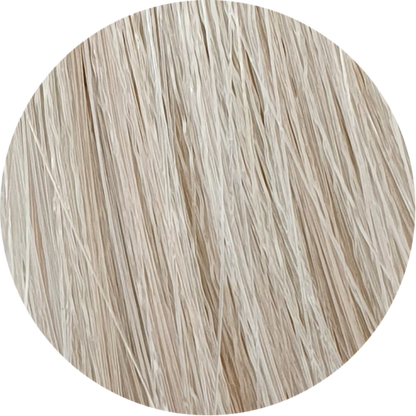 Color Touch CT 10/6-Lightest Blonde Violet - WAHairSuppliers