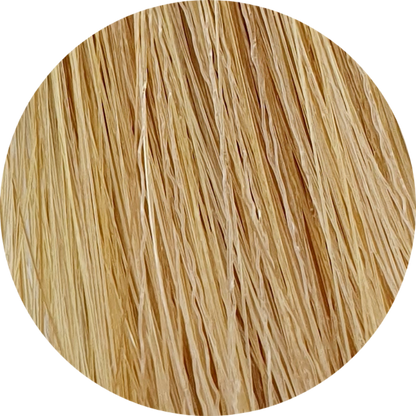 Color Touch CT 10/73-Lightest Blonde Brown Gold - WAHairSuppliers