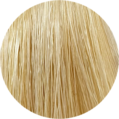 Color Touch CT 10/3-Lightest Blonde Gold - WAHairSuppliers