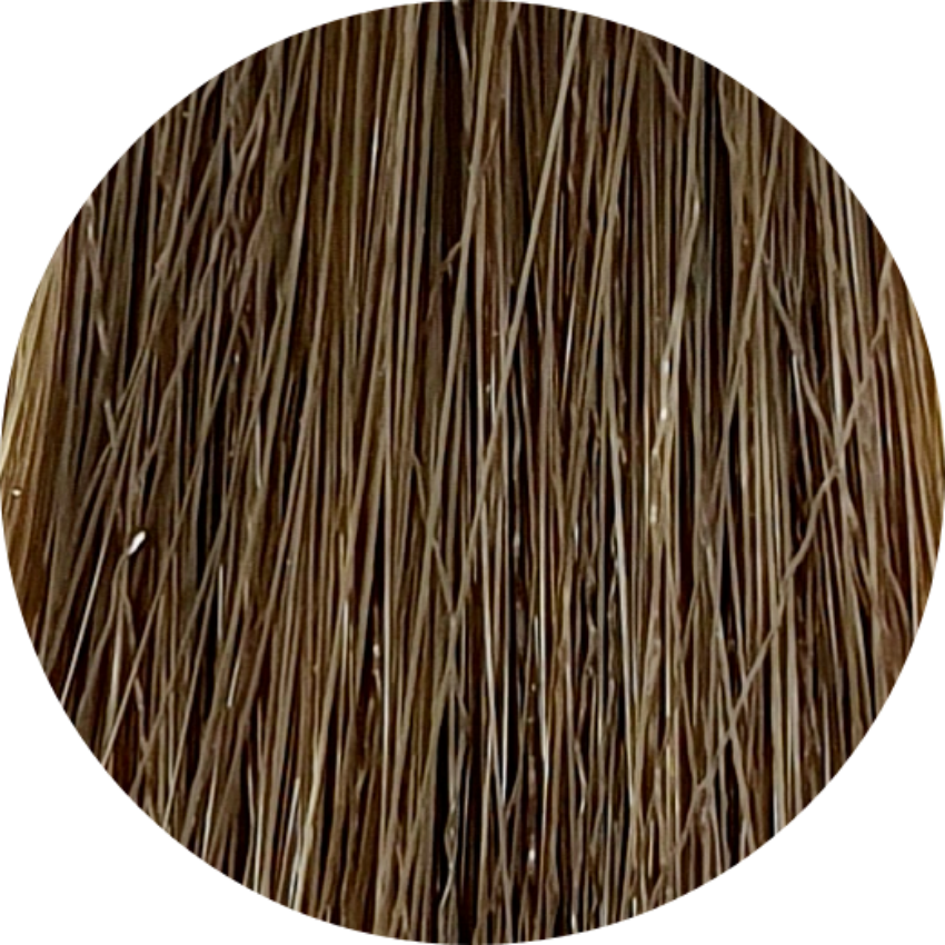 Color Touch CT 6/0- Dark Blonde - WAHairSuppliers