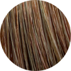 Color Touch CT 6/37-Dark Blonde Gold Brown - WAHairSuppliers