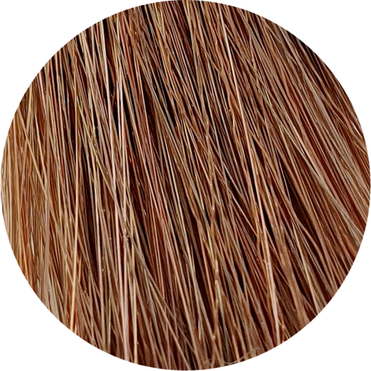 Color Touch CT 7/75-Medium Blonde Brown Mahogany - WAHairSuppliers