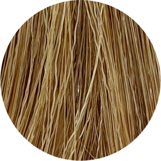 Color Touch CT 8/0-Light Blonde - WAHairSuppliers